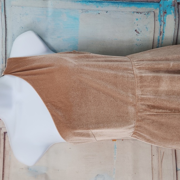 BALTIC BORN Maxi Dress Tatiana Velvet One Shoulder Champagne - Picture 3 of 9